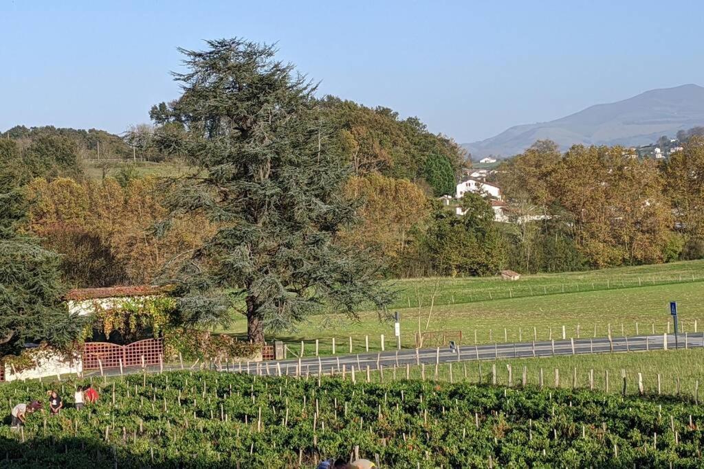 Apartamento Bol D'Air Pur Au Coeur Du Pays Basque Souraïde Exterior foto